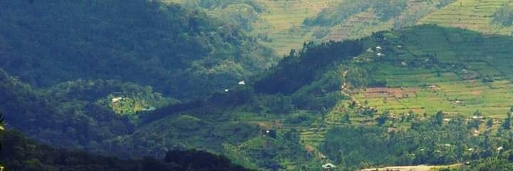 Musinguzi's profile banner image