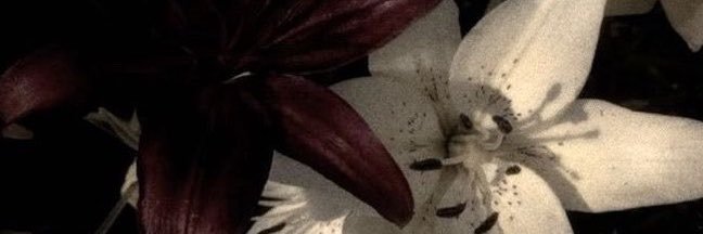 azrtiels's profile banner image