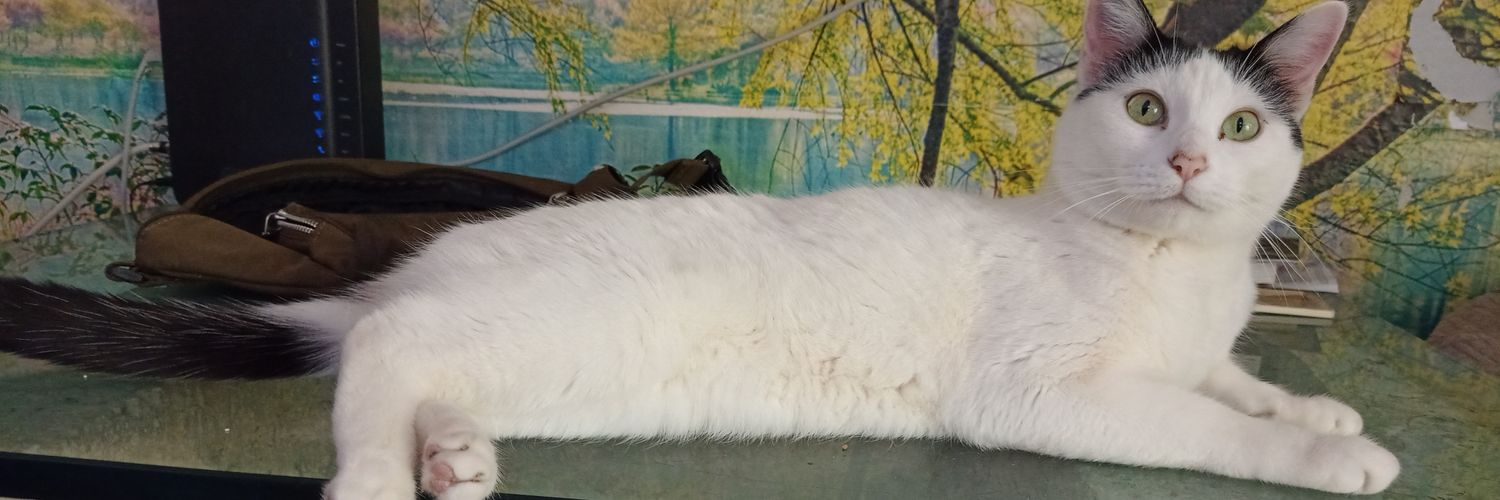 L0shit4's profile banner image