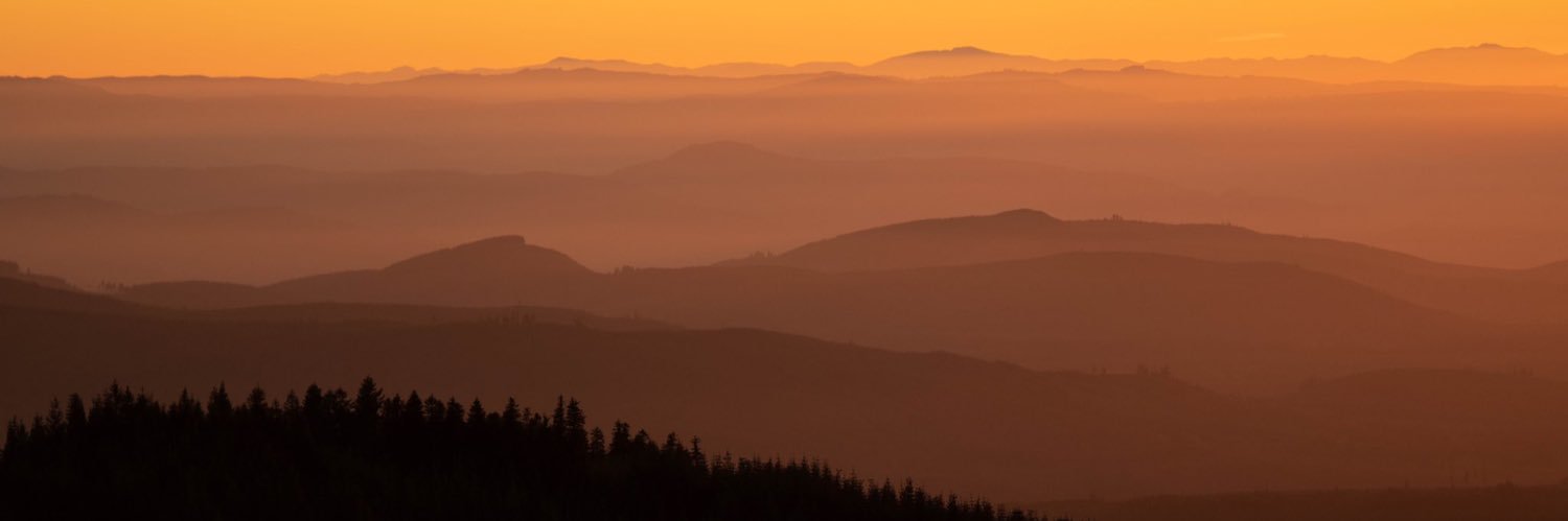 mtresaugue's profile banner image