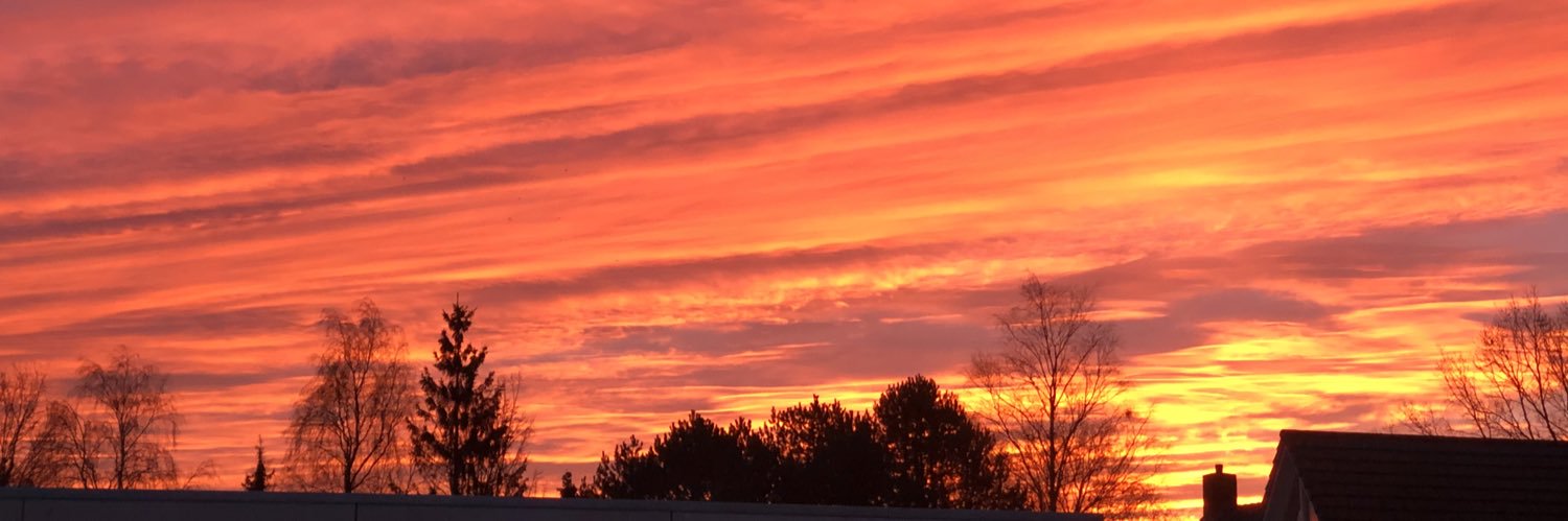 Jan Harm Schippers banner