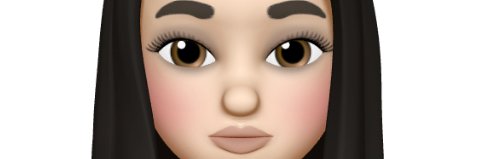 Suzanne Carbone banner