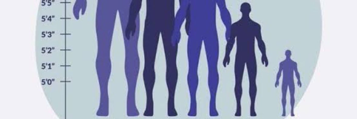 J Shannon Dryden banner
