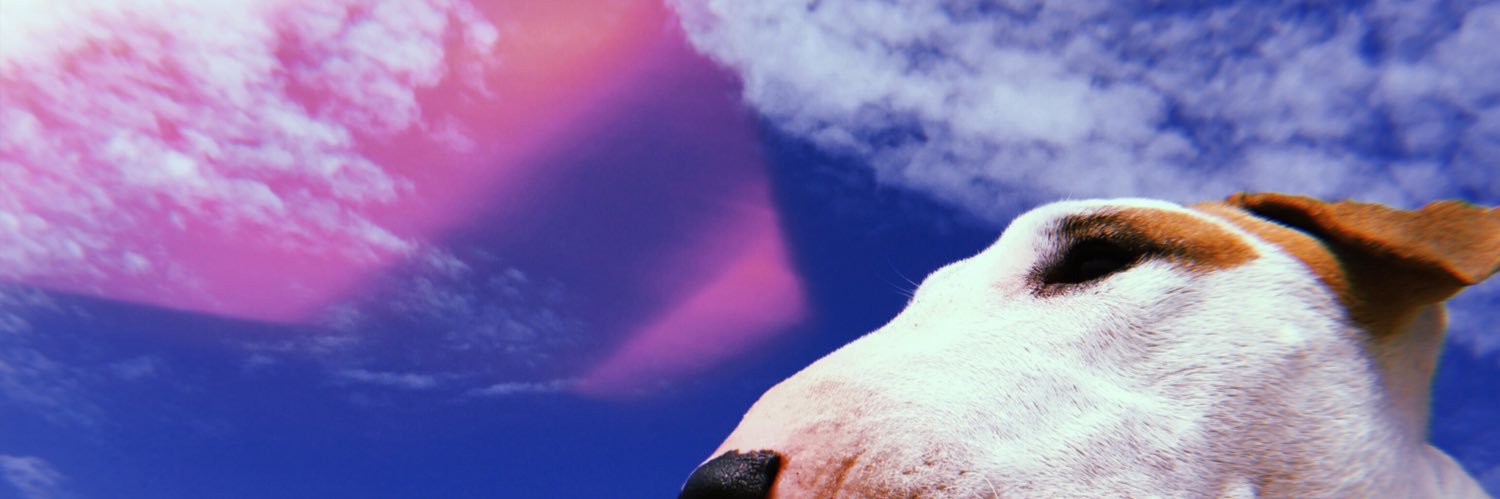 rousielabanda's profile banner image