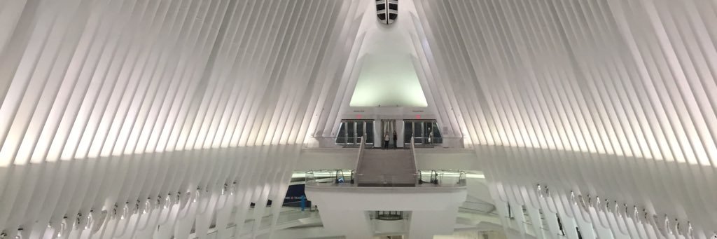 sjaronson's profile banner image