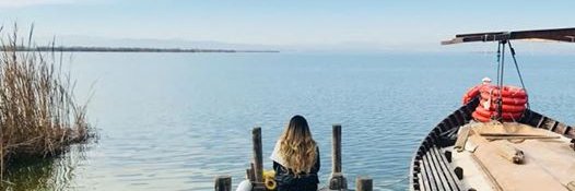 Michelle_AMOSs's profile banner image