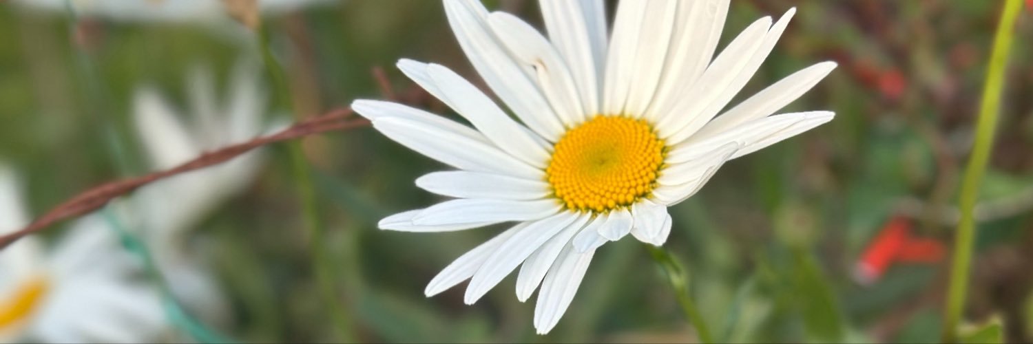 delaohyp's profile banner image