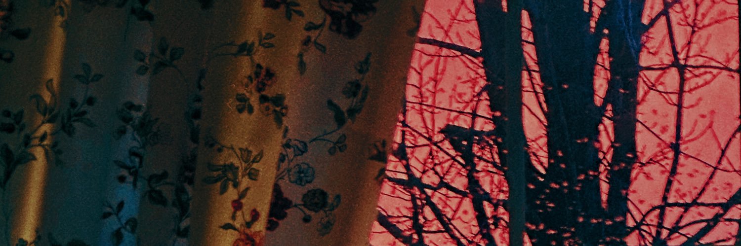 MelOfTheMoon's profile banner image