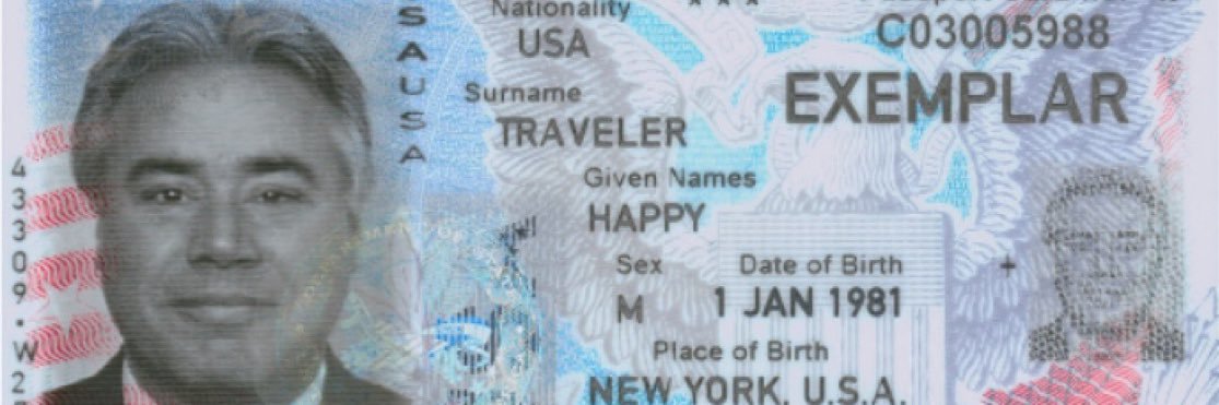 Happy Traveler banner