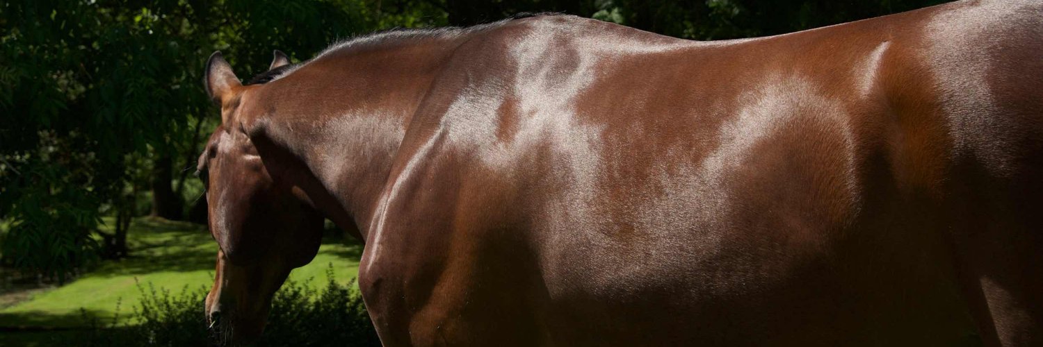 Keyflow Feeds banner