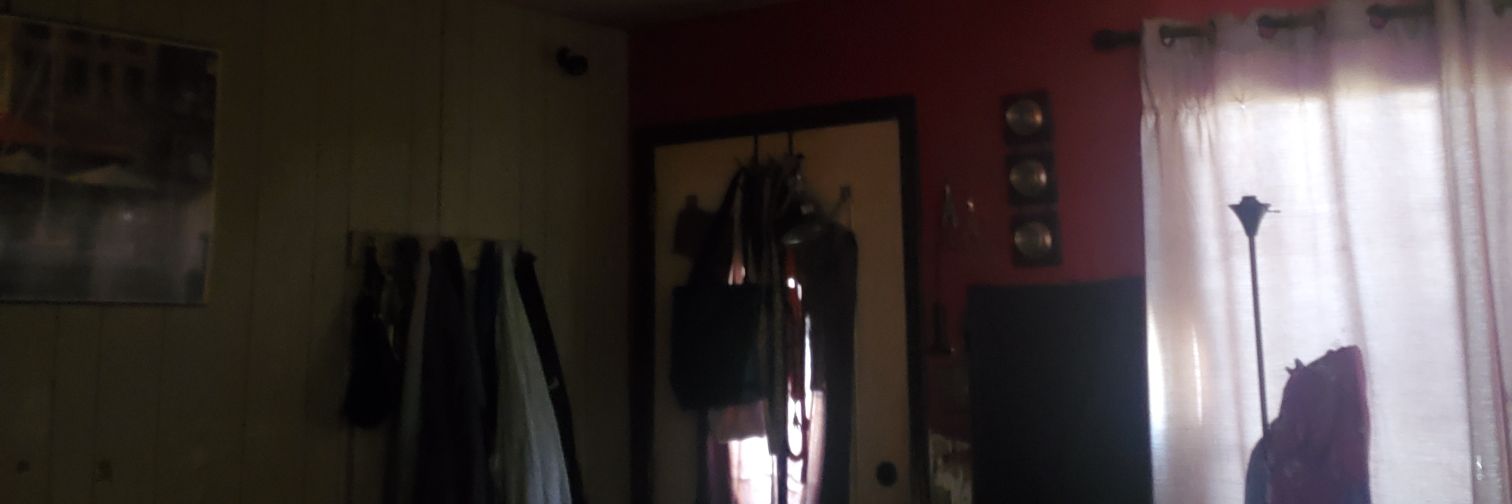 Desiree Vanira Shrum banner