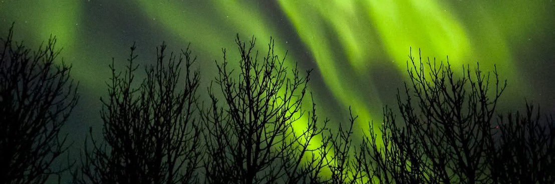 𝟗𝟗𝟗 ᕦʕ •ᴥ•ʔᕤ banner