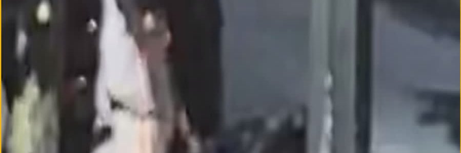 Bertha Guzman banner