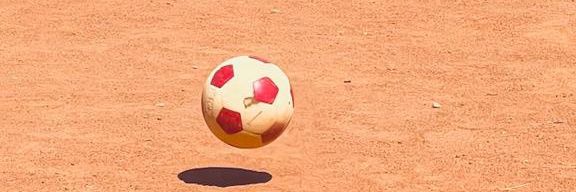 wolf of all streets banner