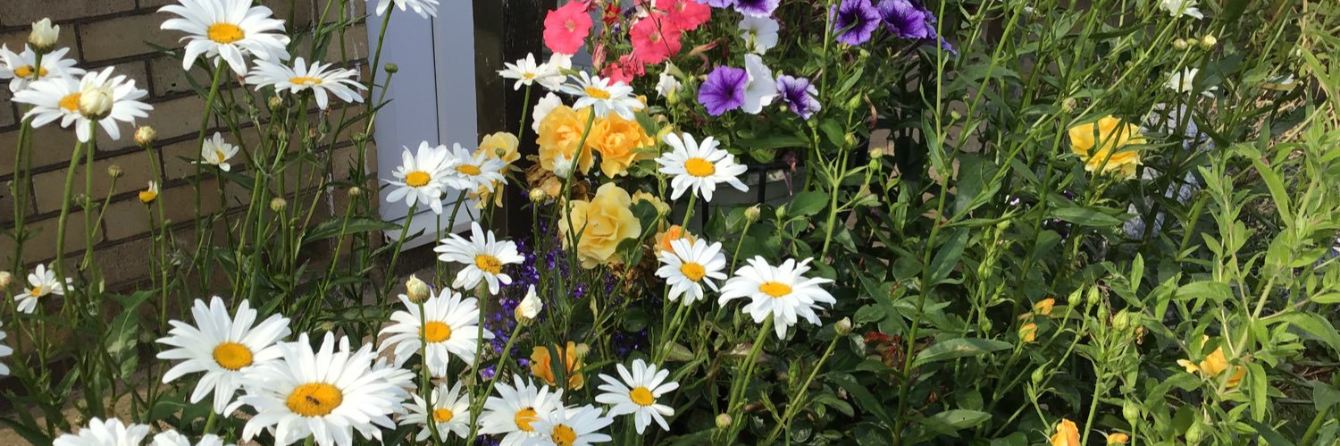 Susan H Trought banner