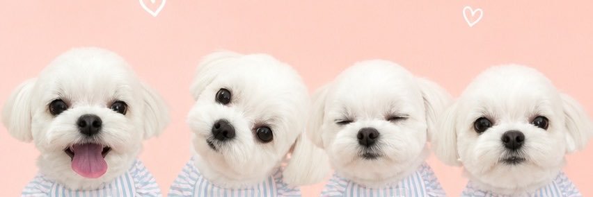 bapecoco's profile banner image