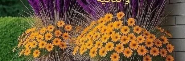 hsyn33914 Profile Banner