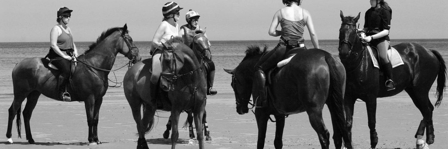 Trot_ON's profile banner image