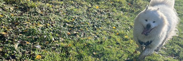 c33dge Profile Banner