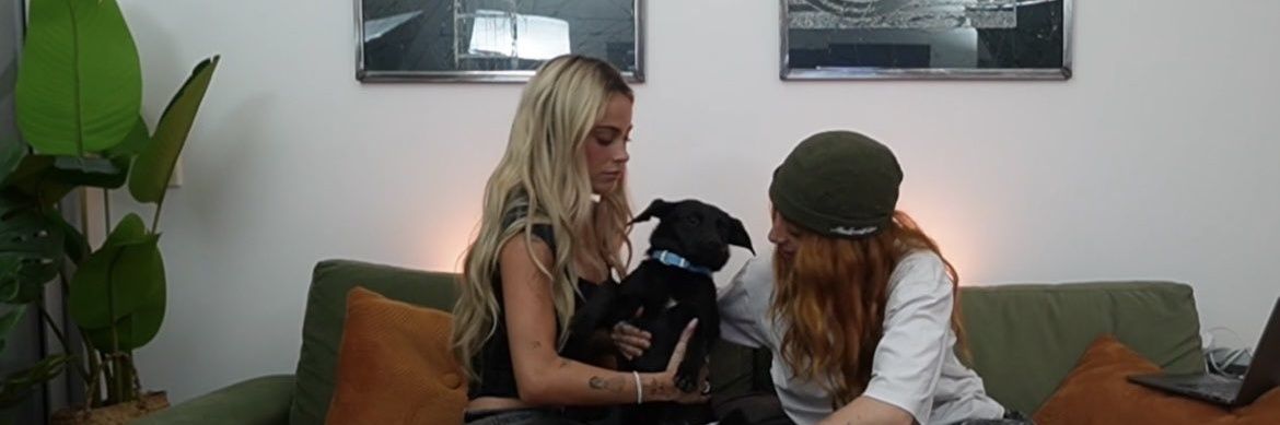 mari 🇧🇷 banner