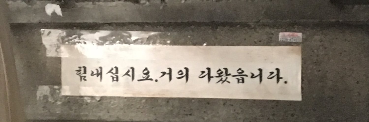 바위너구리 📚📝 banner