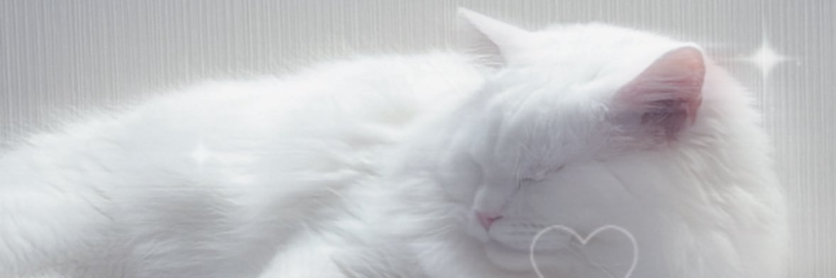 らむ banner