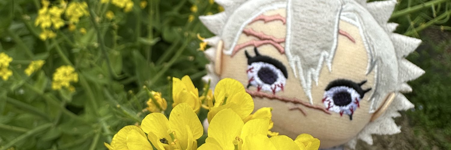 ume banner
