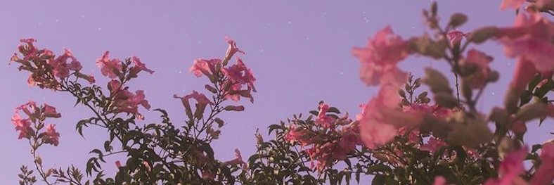 EmmaJCotter's profile banner image
