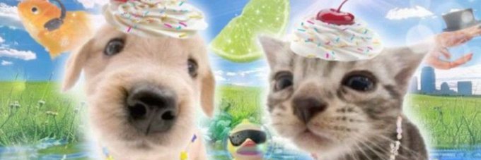 Mira°❀⋆.ೃ₊ ♪˚⊹ banner