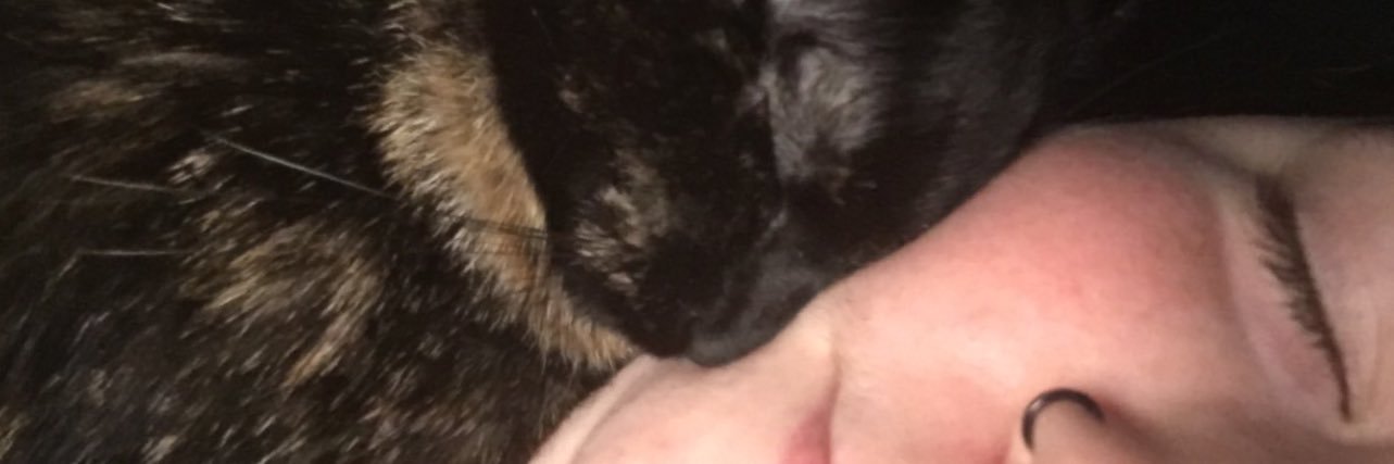 KateBrianne's profile banner image
