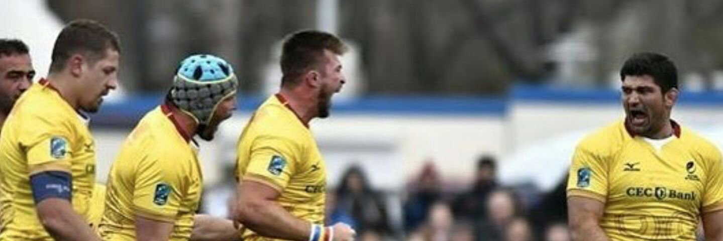 M I Vasilache banner