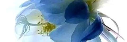 MineMorera's profile banner image