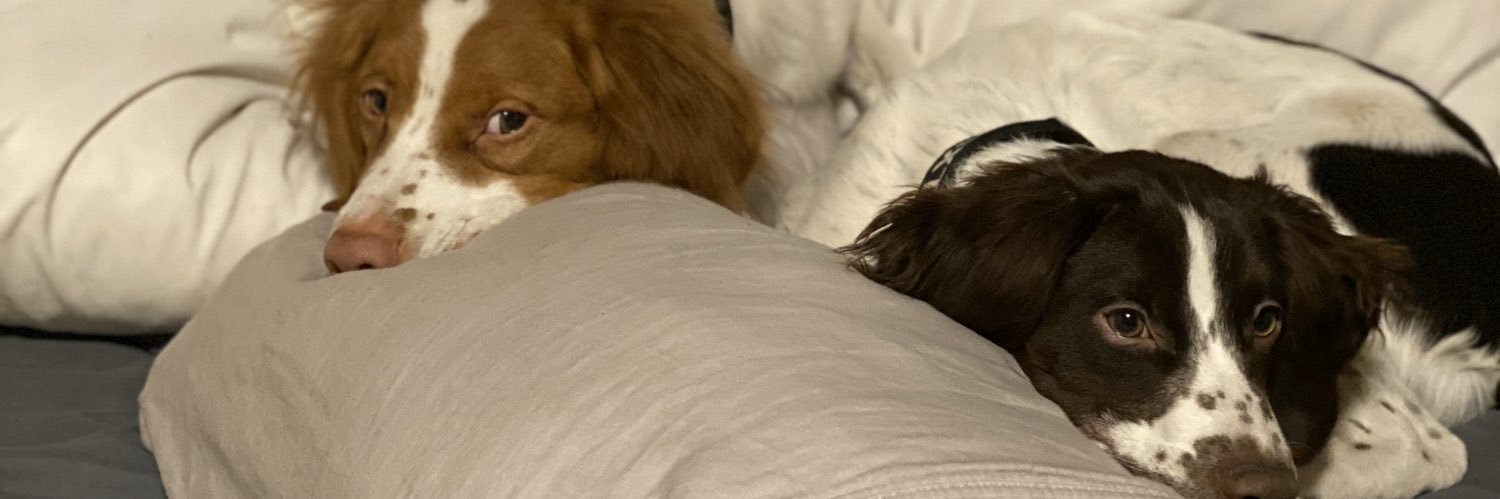 Chavwolf32's profile banner image