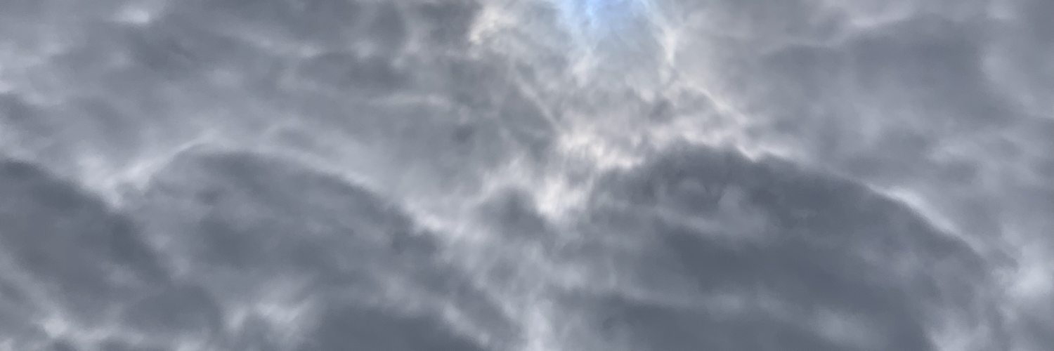 𝙿𝚛𝚘𝚏. 𝙳𝚛. 𝚍𝚎𝚒𝚗𝚋𝚒𝚎𝚛™ banner