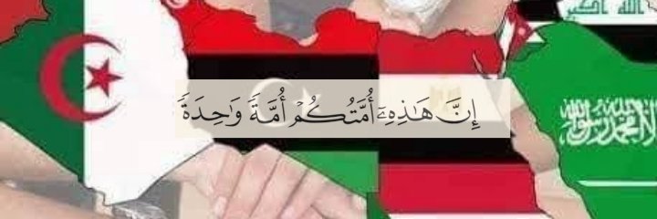 sarahayad's profile banner image