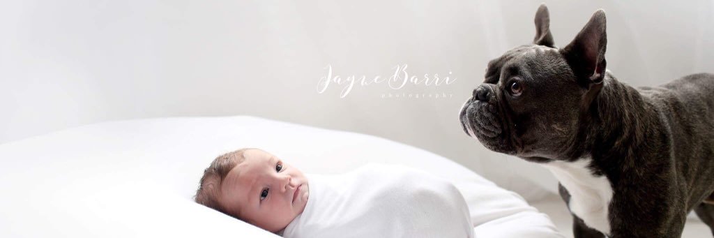 Jade_Dandy's profile banner image