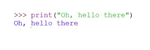 Blue Pangolin banner