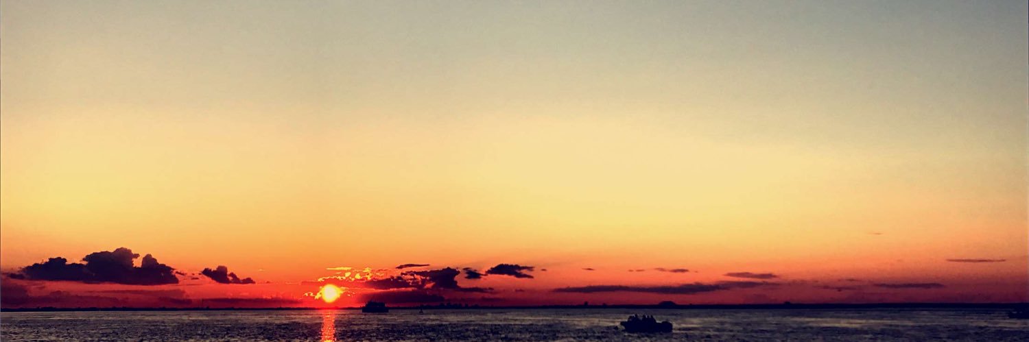 StevenWalis's profile banner image