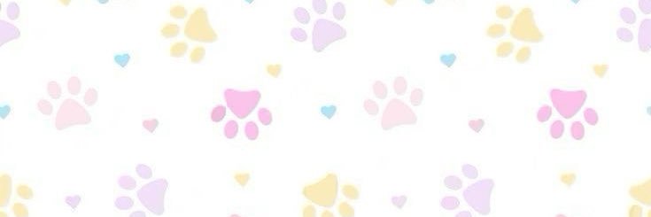 kit 🐾 banner