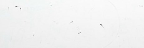 一場春夢 banner