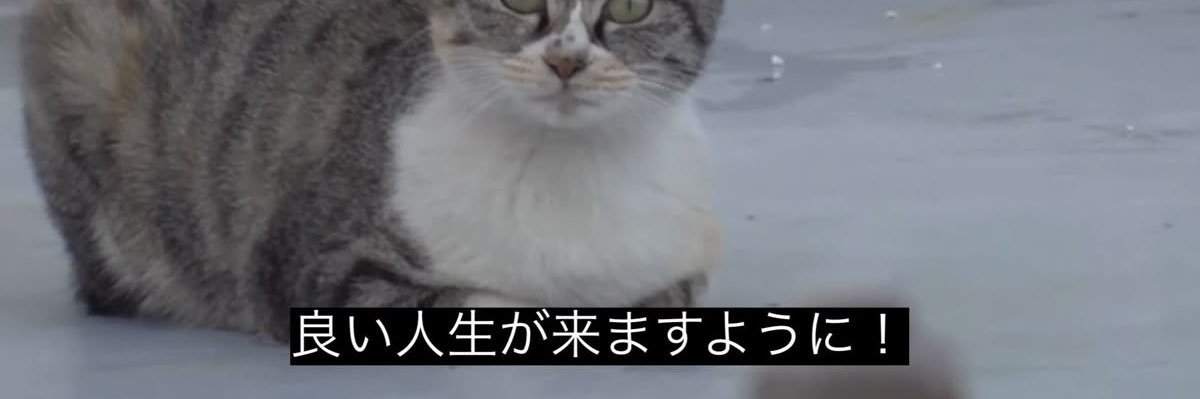 m0ncha_'s profile banner image