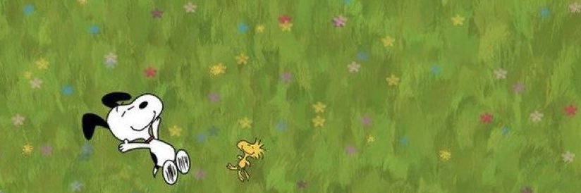 nika banner