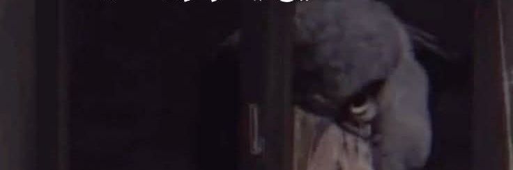 Solt banner