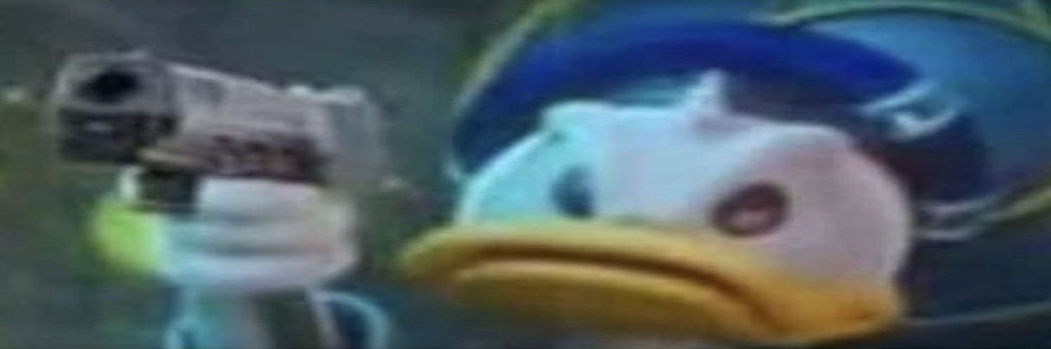 Random Broncos Fan banner