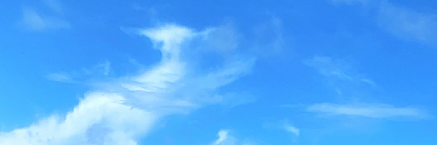 avielisseasm's profile banner image