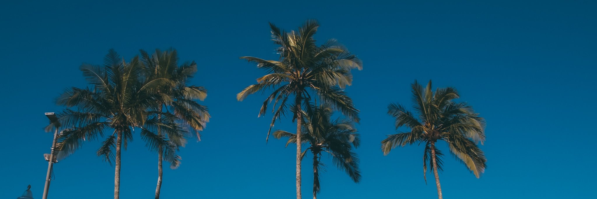 Jacksonkenedy's profile banner image