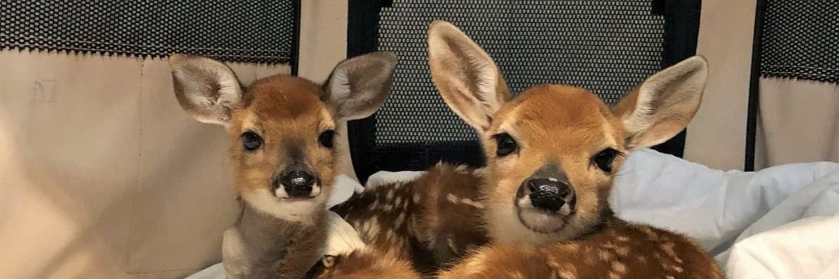 مـ و و و و و و و ج banner