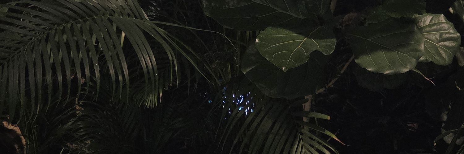 2290484l's profile banner image