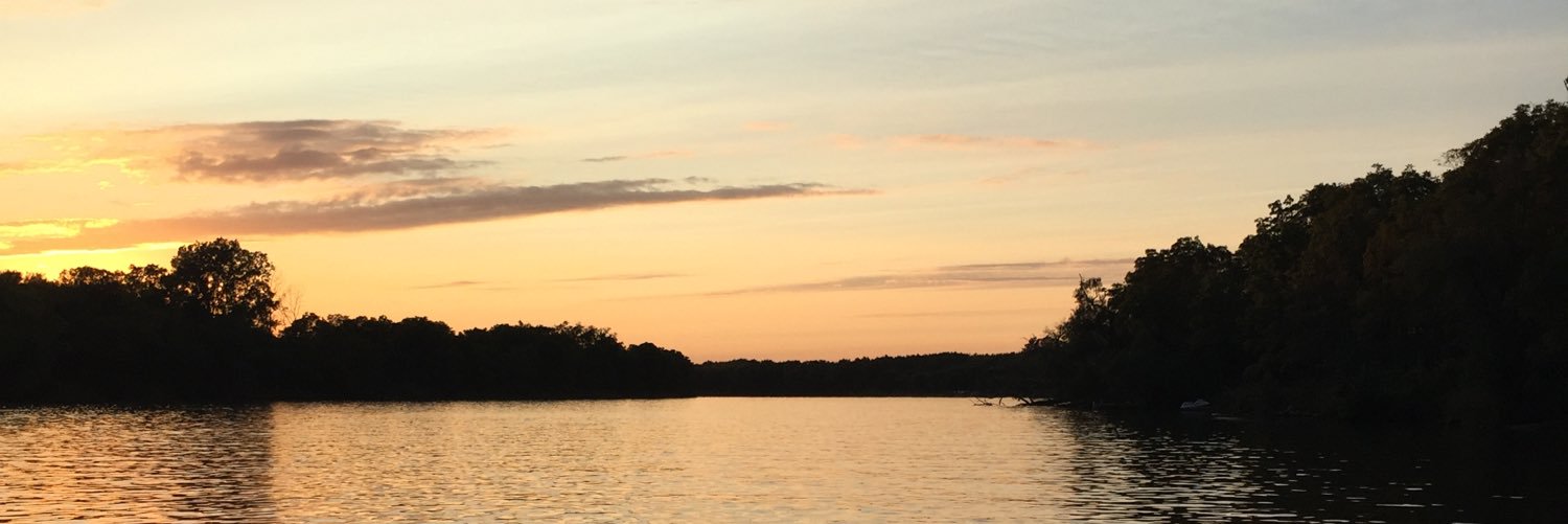 JenRienties's profile banner image