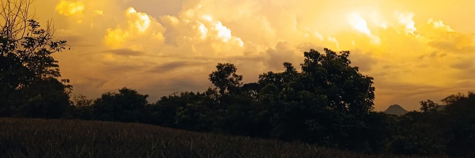 AGBODAN Martin banner